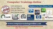 Dot Net Online Training with Job  Assistance 