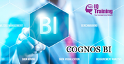 Cognos BI Online Training