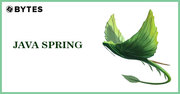 Java Spring Online Training