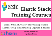 Elastic Stack Online Training Course - Pincorps